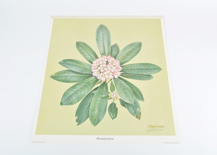 Signed Don Ensor "Rhododendron" Print