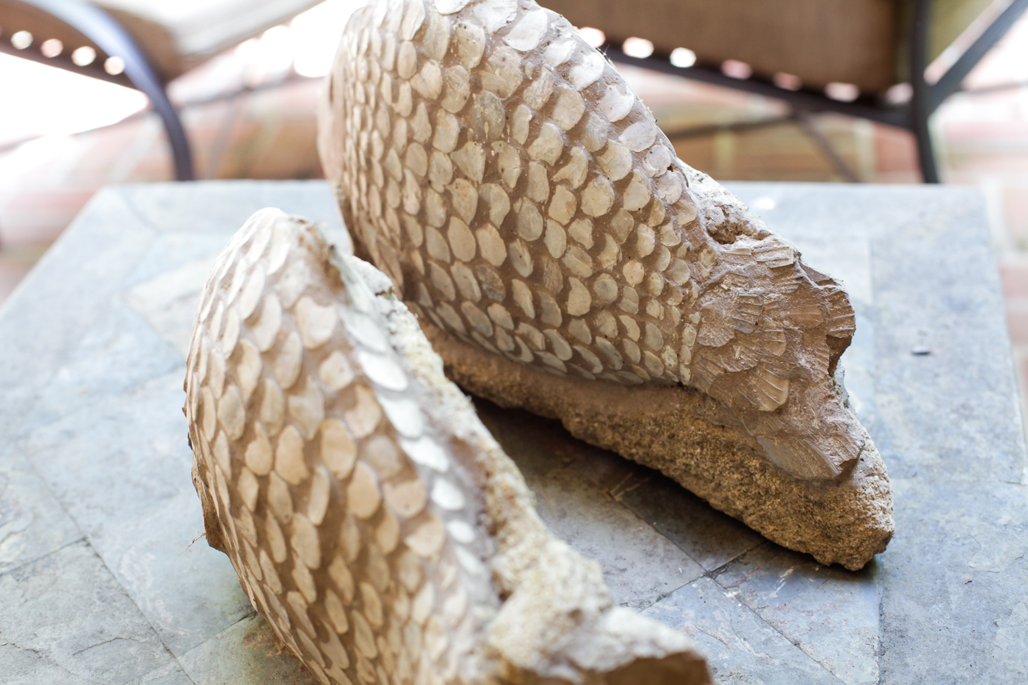 Decorative Outdoor Fish Sculptures