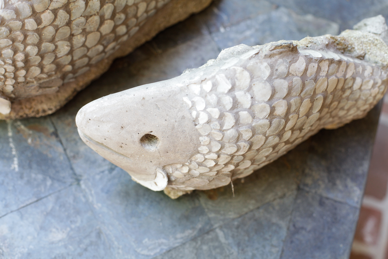 Decorative Outdoor Fish Sculptures