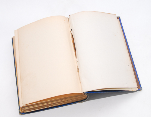 First American Edition of "Twenty Thousand Leagues Under the Sea"