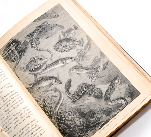 First American Edition of "Twenty Thousand Leagues Under the Sea"