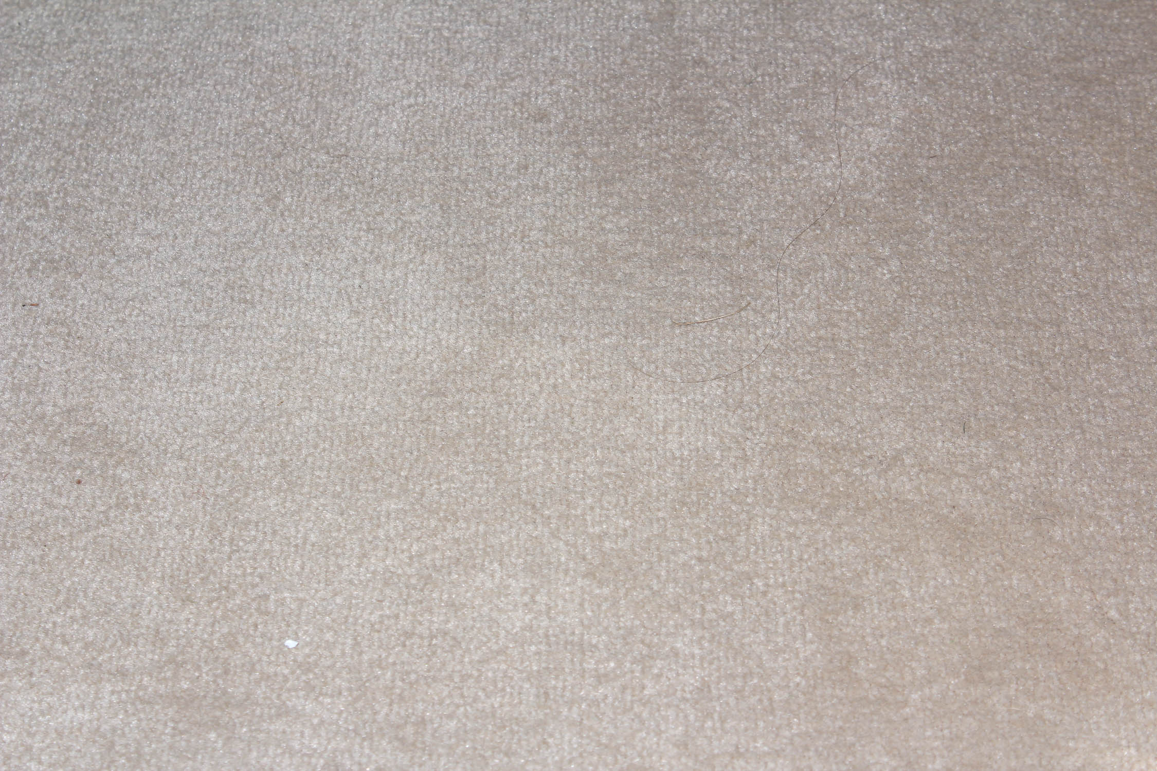 Tan Area Rug