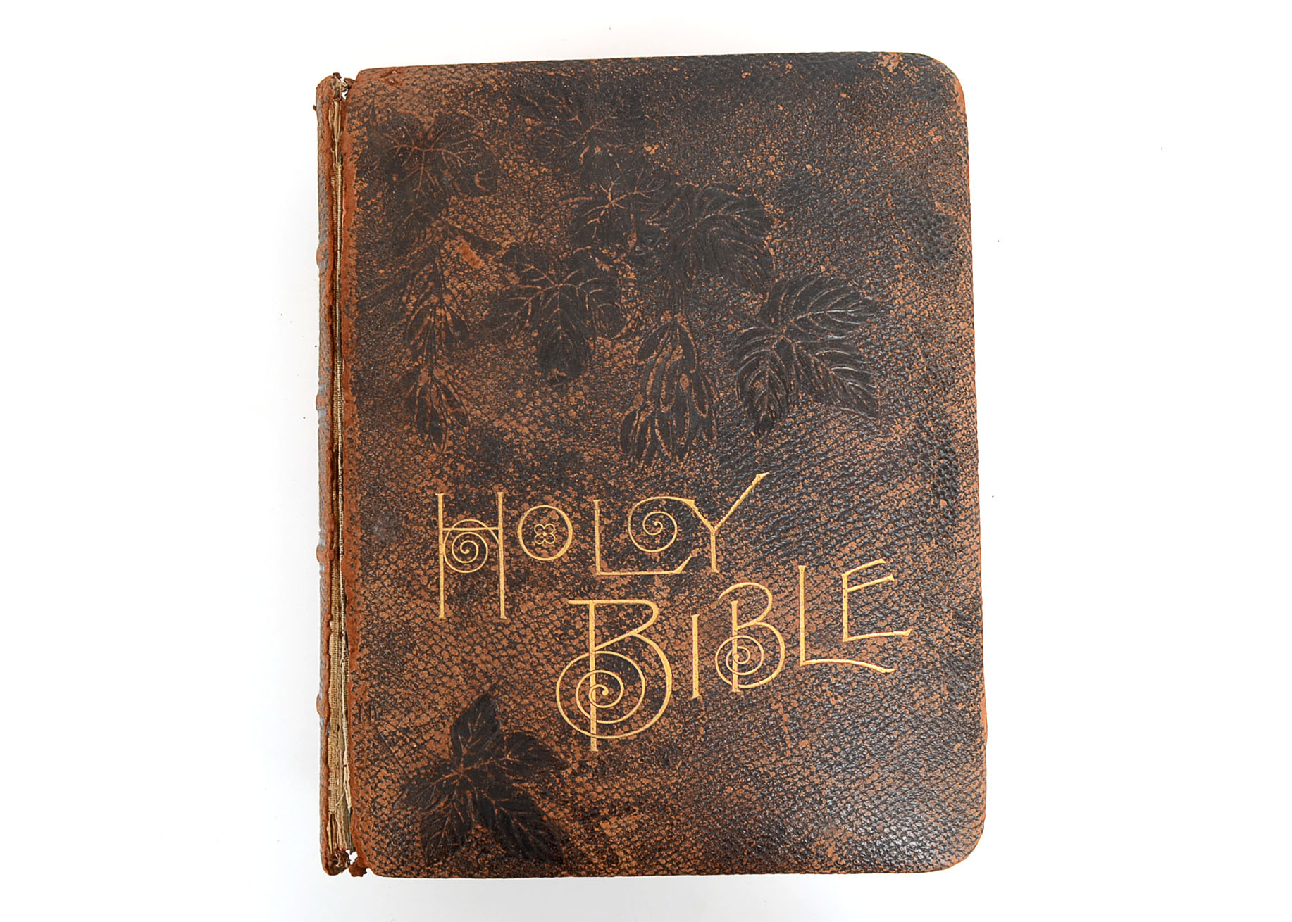 1890 Pictoral Family Bible