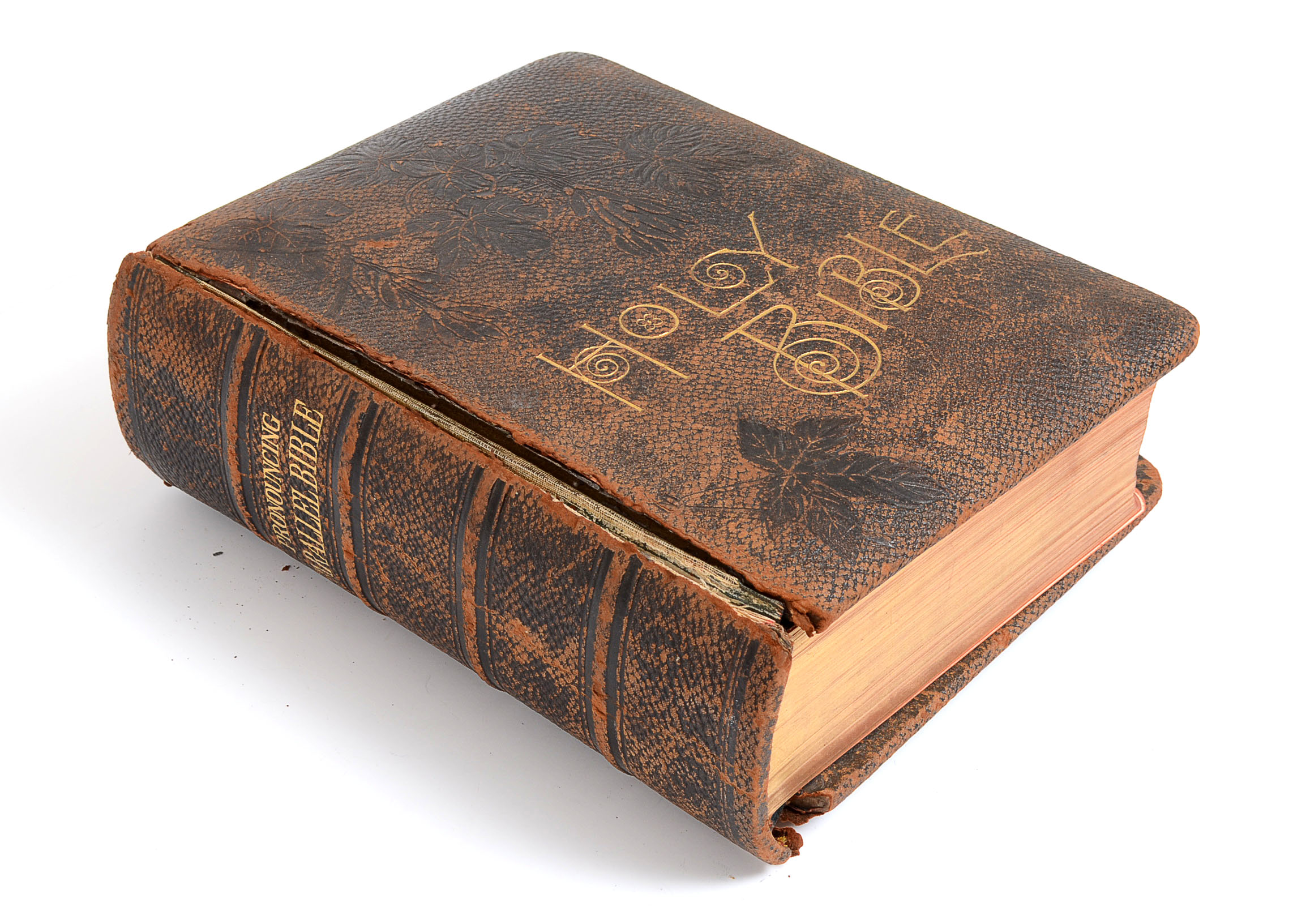 1890 Pictoral Family Bible