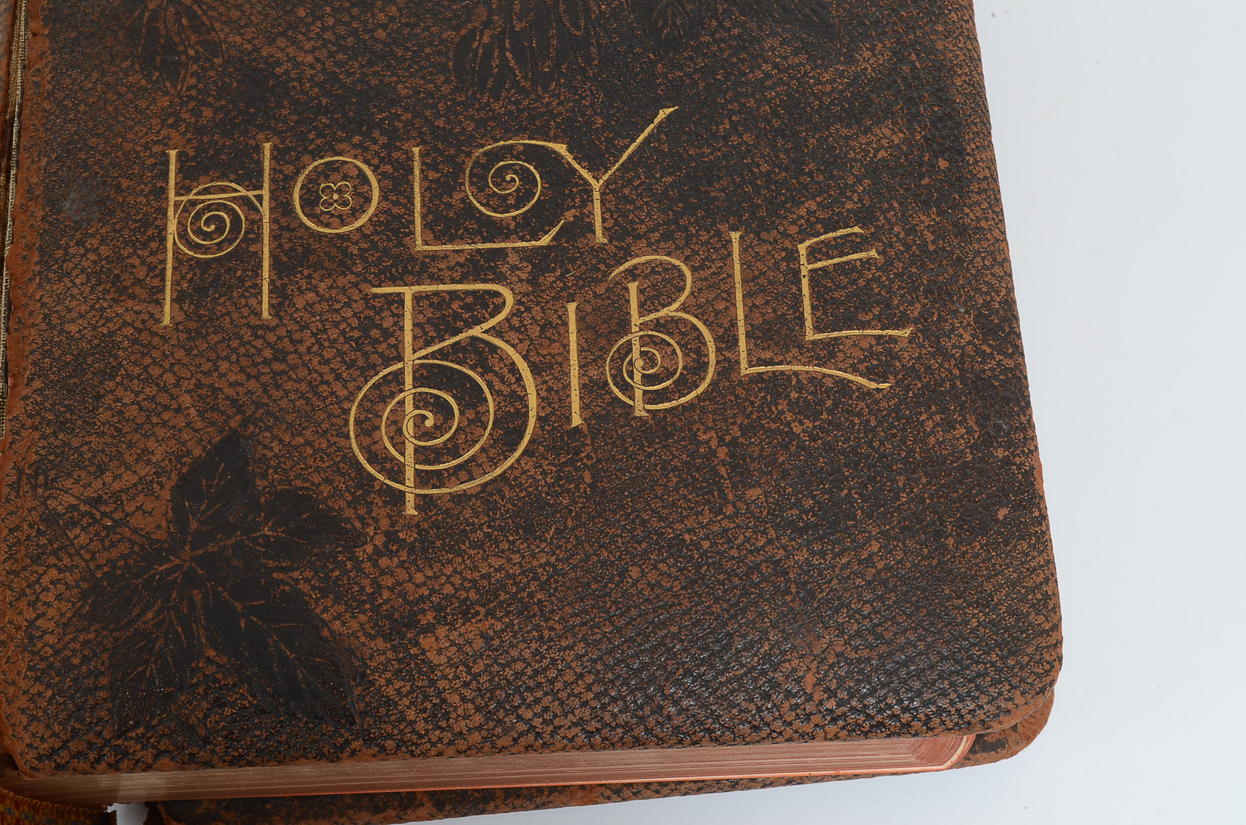 1890 Pictoral Family Bible