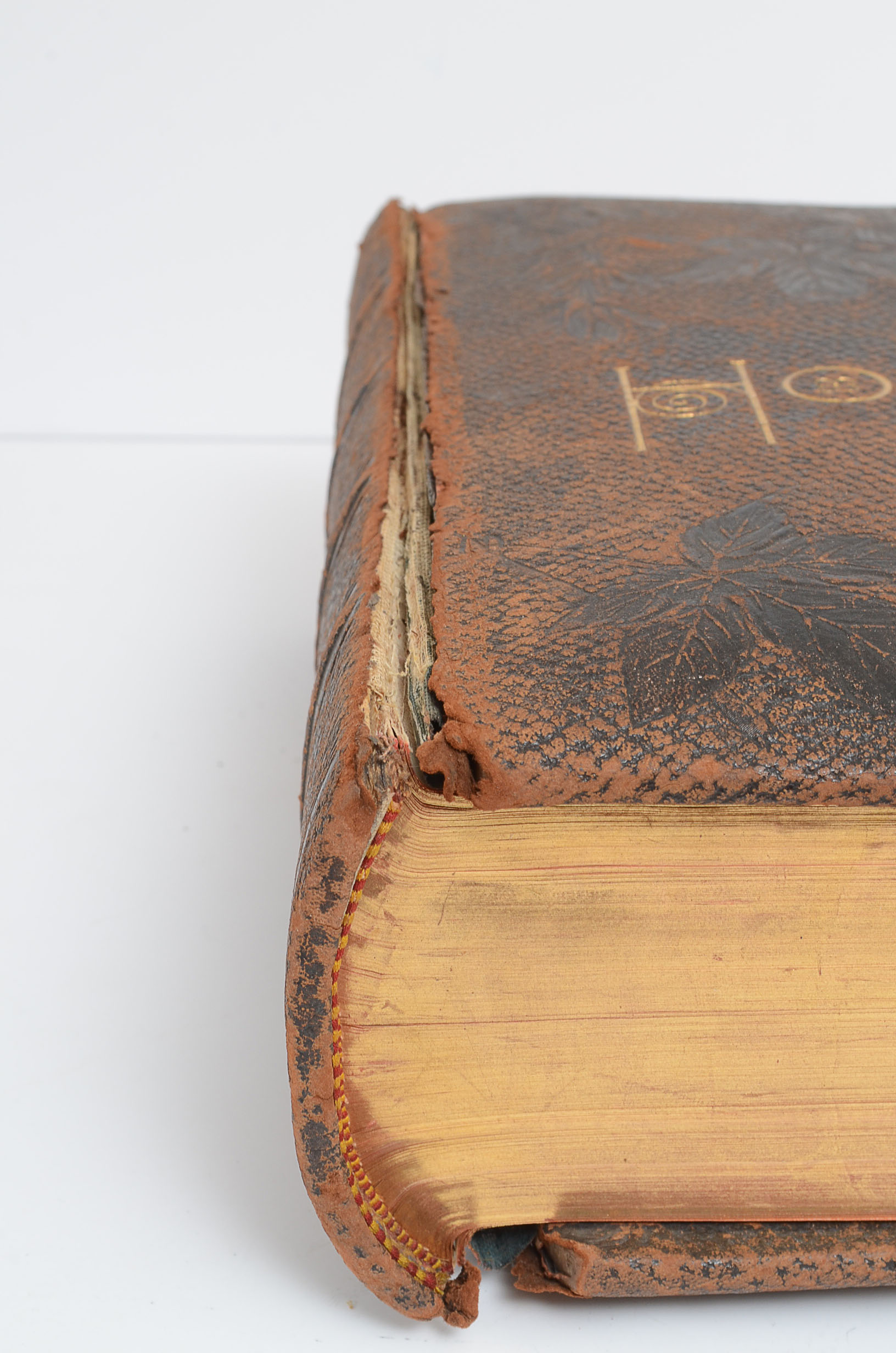 1890 Pictoral Family Bible