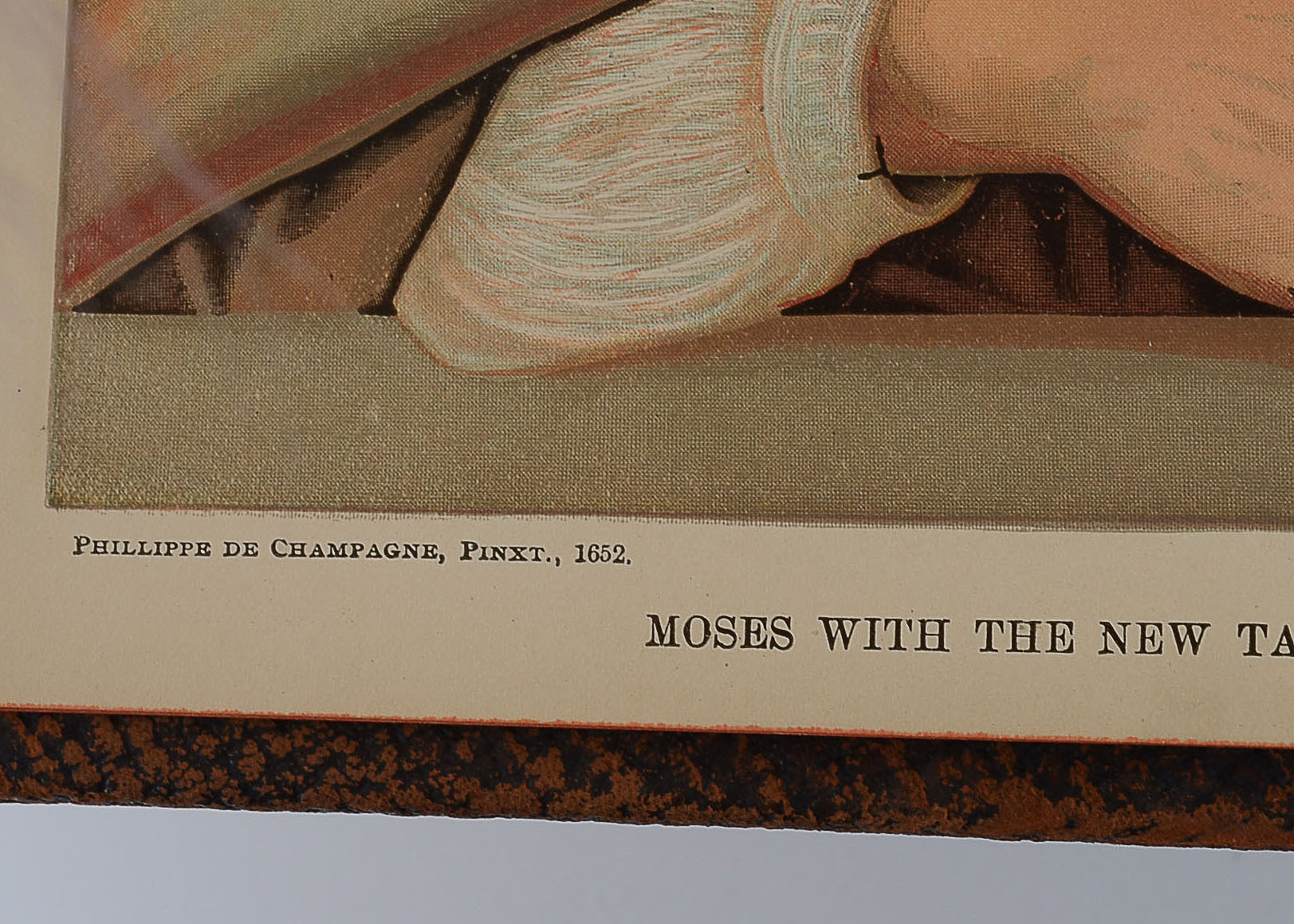 1890 Pictoral Family Bible