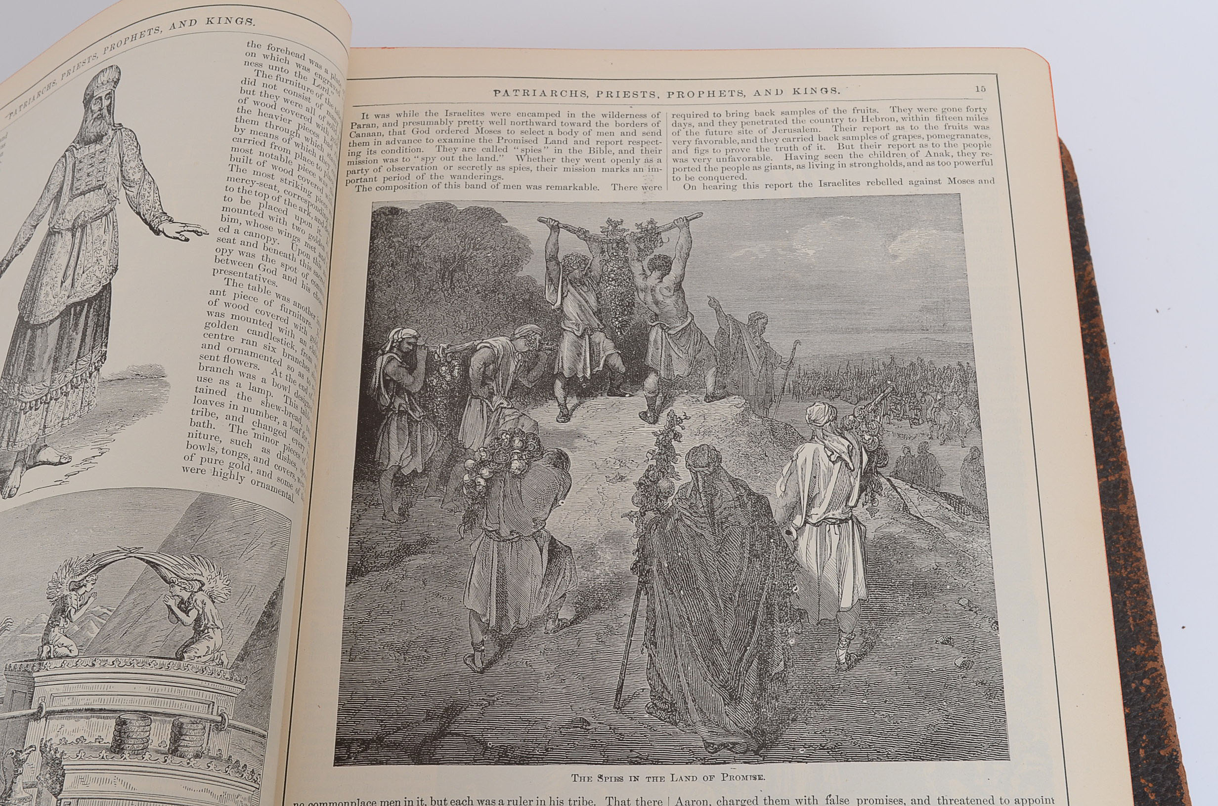 1890 Pictoral Family Bible