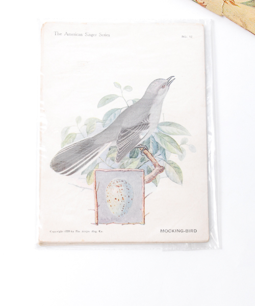 Victorian Advertising Cards Some Illustrated by Kate Greenaway