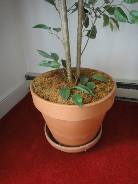 Tall Artificial Fica Tree