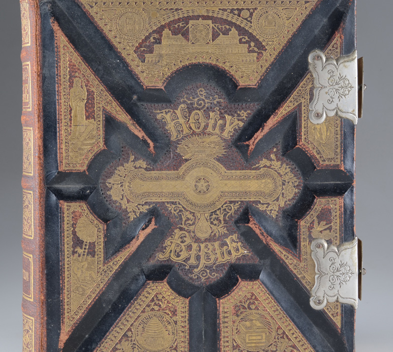 1893 Illustrated and Annotated Bible