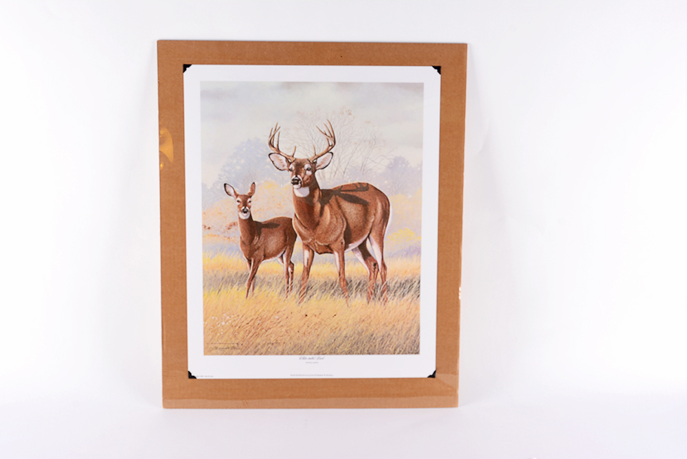 Jim Oliver Kentucky Wildlife Prints