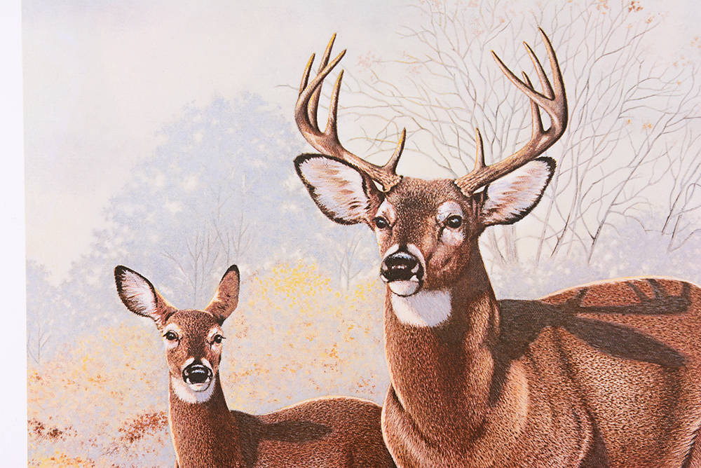 Jim Oliver Kentucky Wildlife Prints