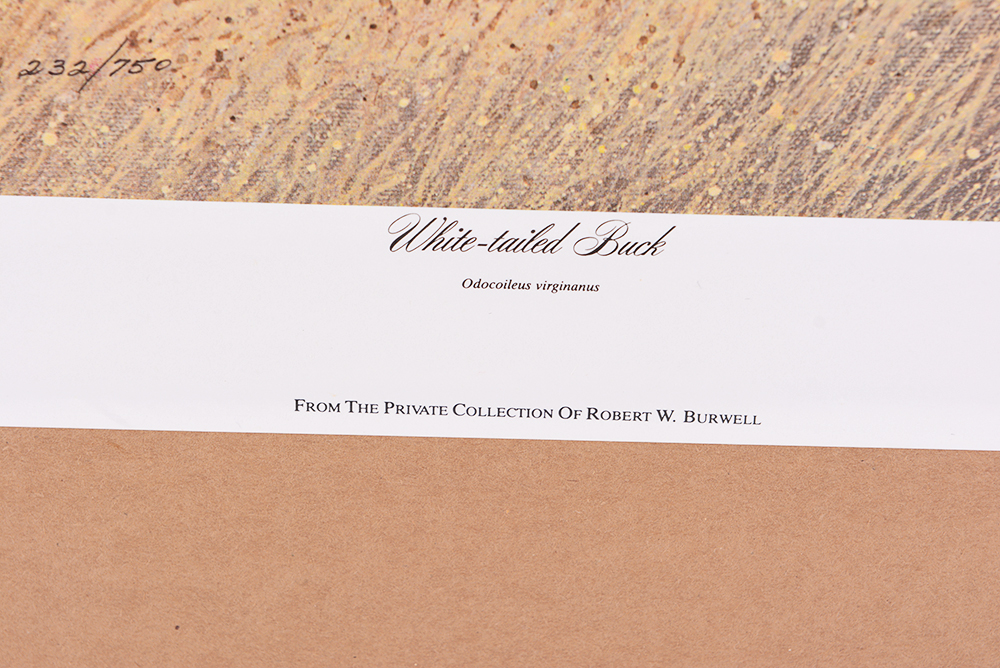 Jim Oliver Kentucky Wildlife Prints