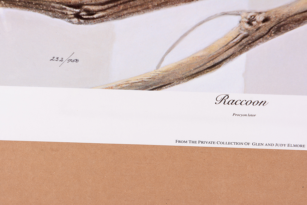 Jim Oliver Kentucky Wildlife Prints