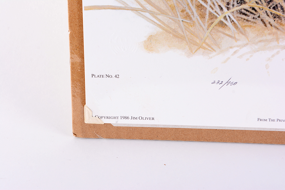 Jim Oliver Kentucky Wildlife Prints