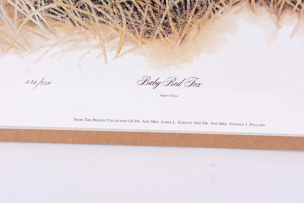 Jim Oliver Kentucky Wildlife Prints