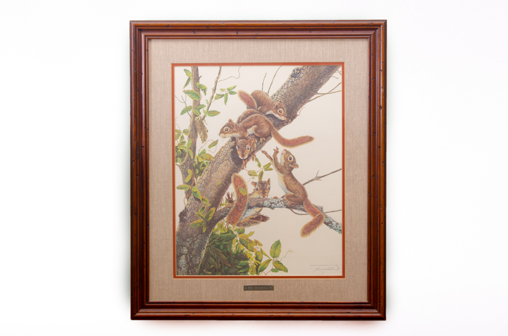 "Red Squirrels" by Jim Oliver