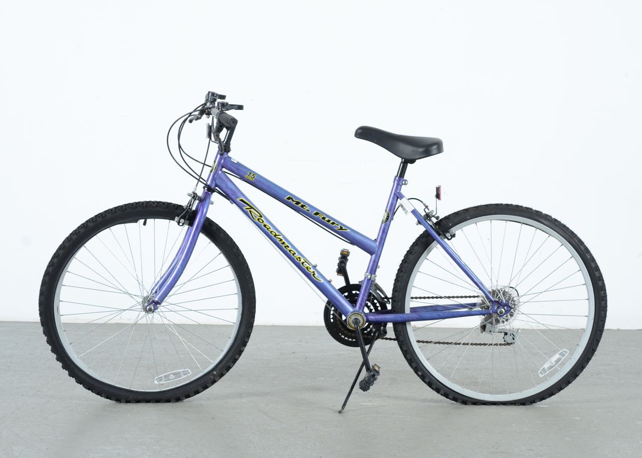 Mountain fury roadmaster bike sale