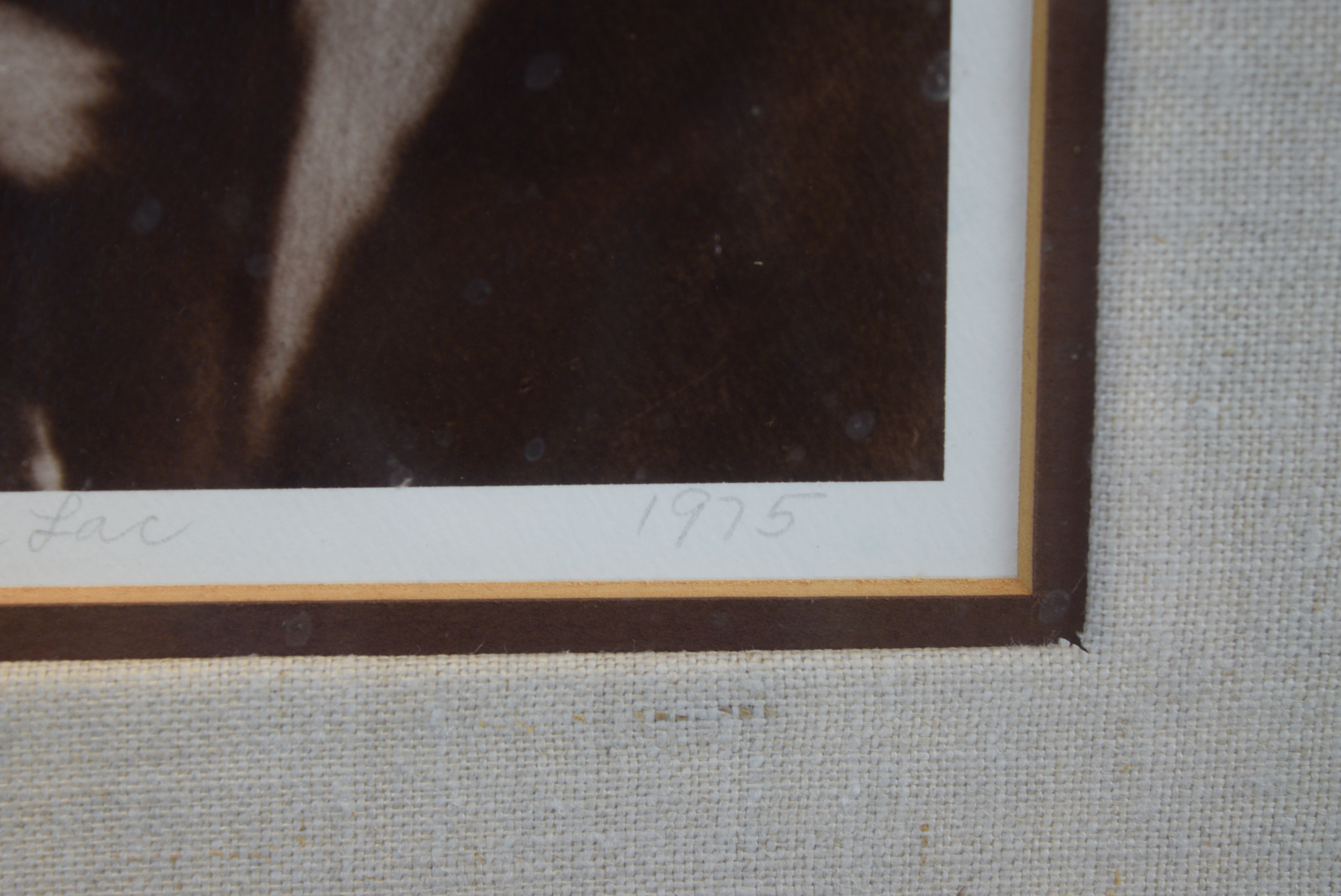 Edward Curtis 'Chief Joseph' Photographic Print