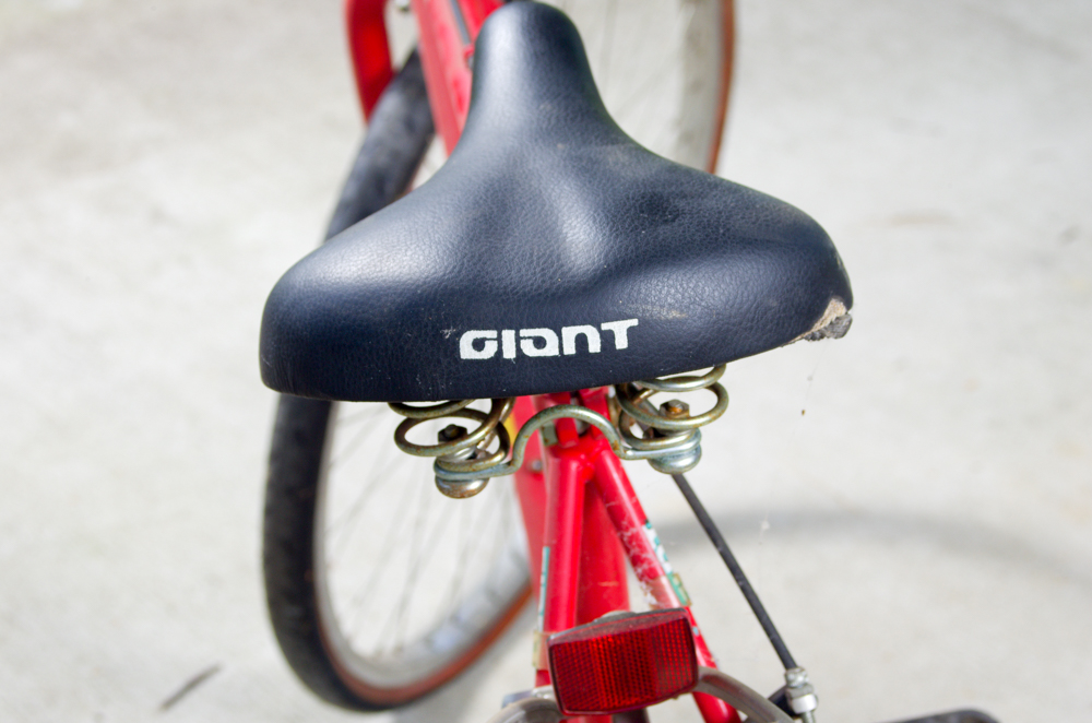 Vintage Giant "Gold Coast" Bicycle with Shimano Components