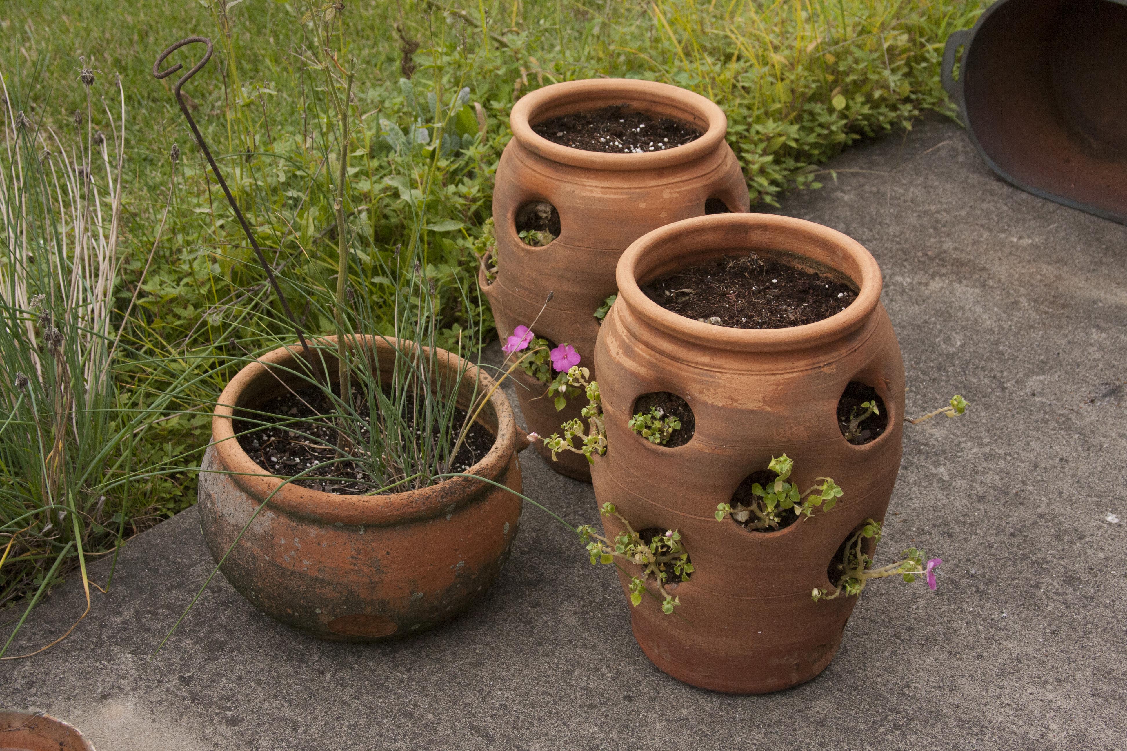 Outdoor Terracotta Patio Pots