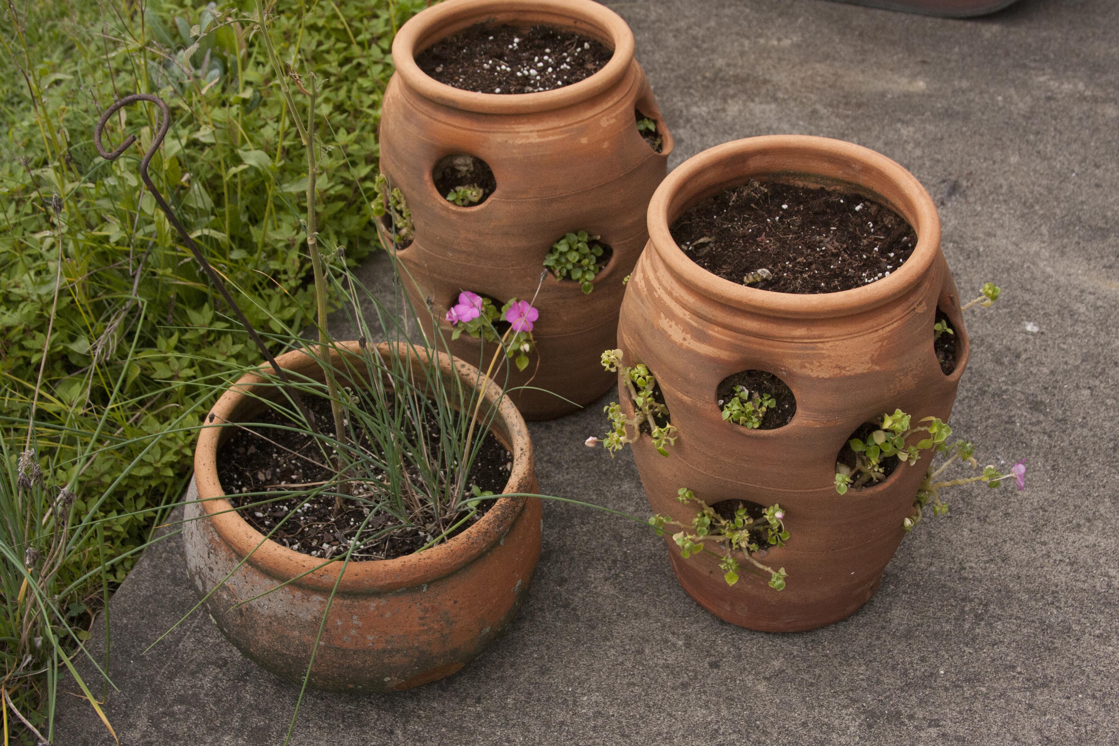Outdoor Terracotta Patio Pots