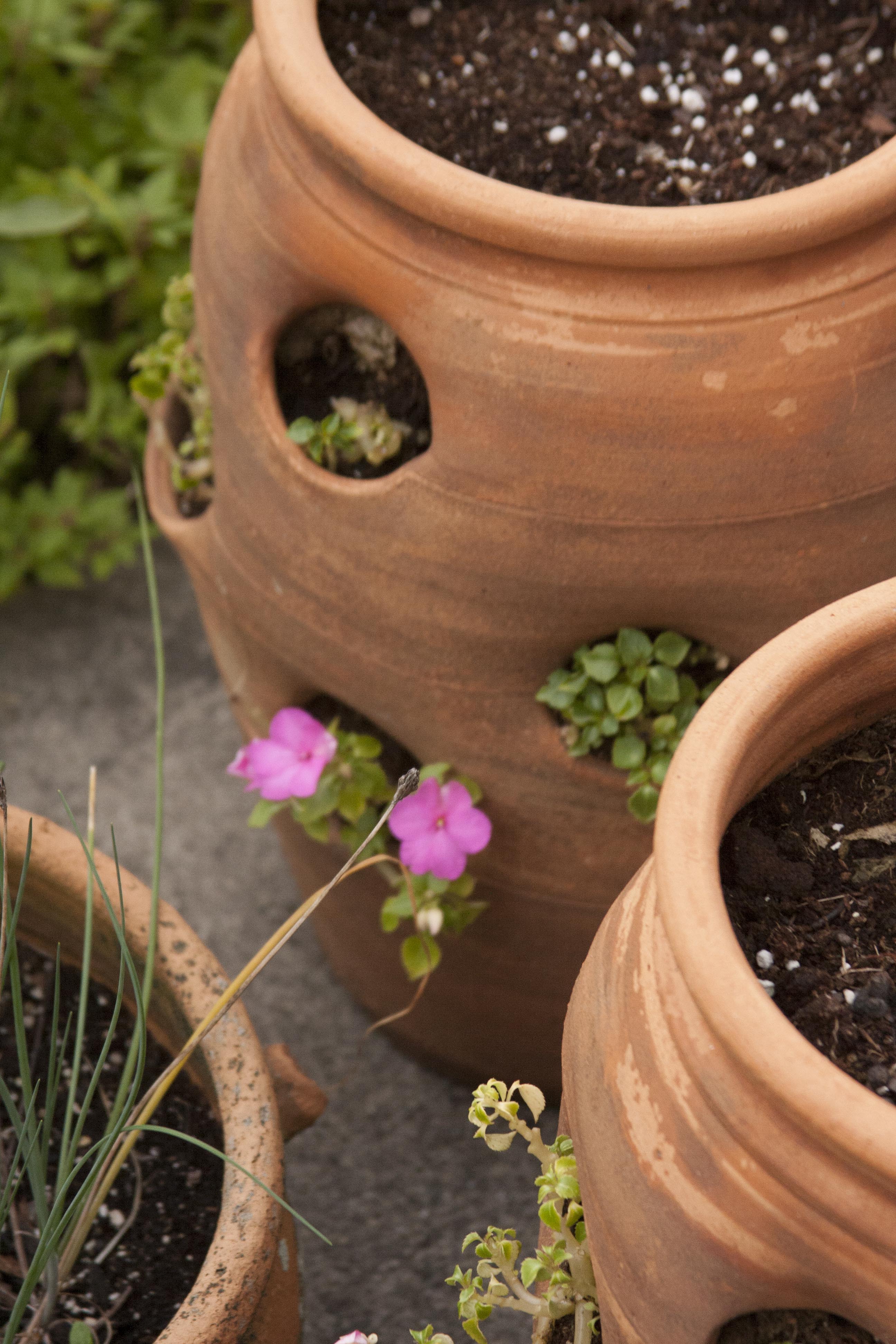 Outdoor Terracotta Patio Pots