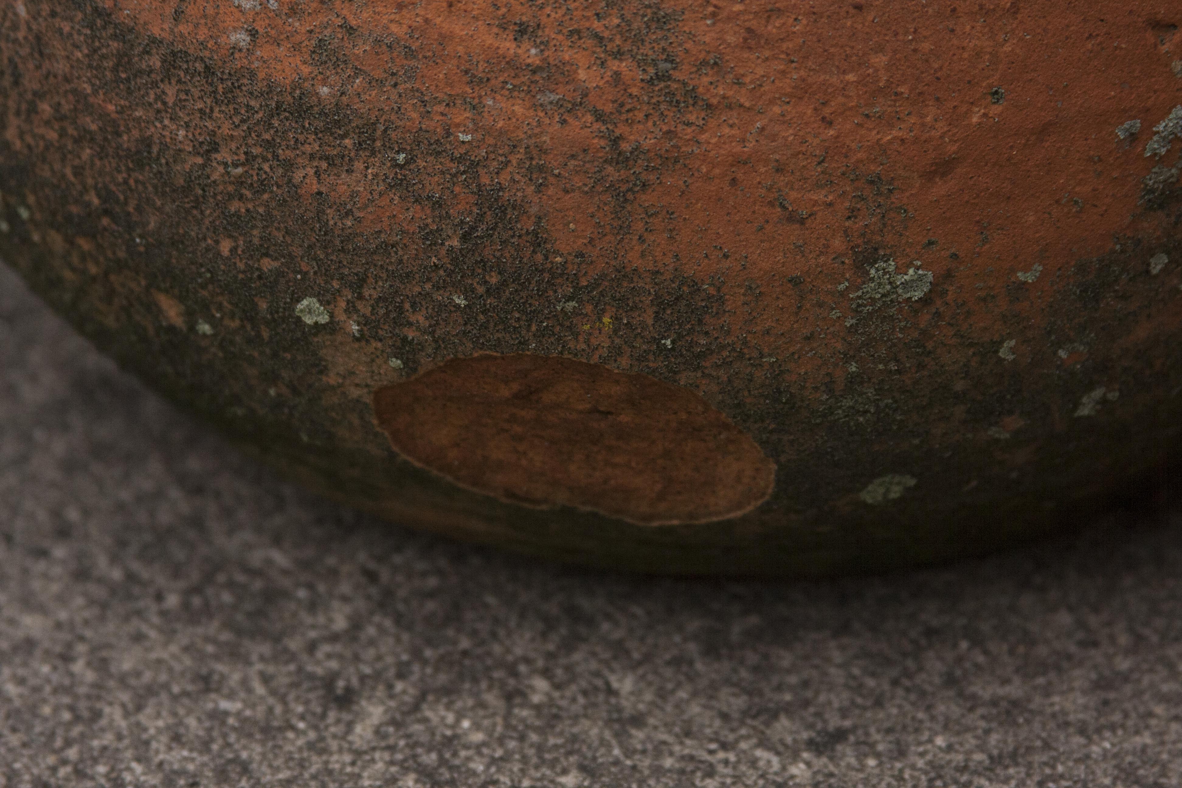 Outdoor Terracotta Patio Pots