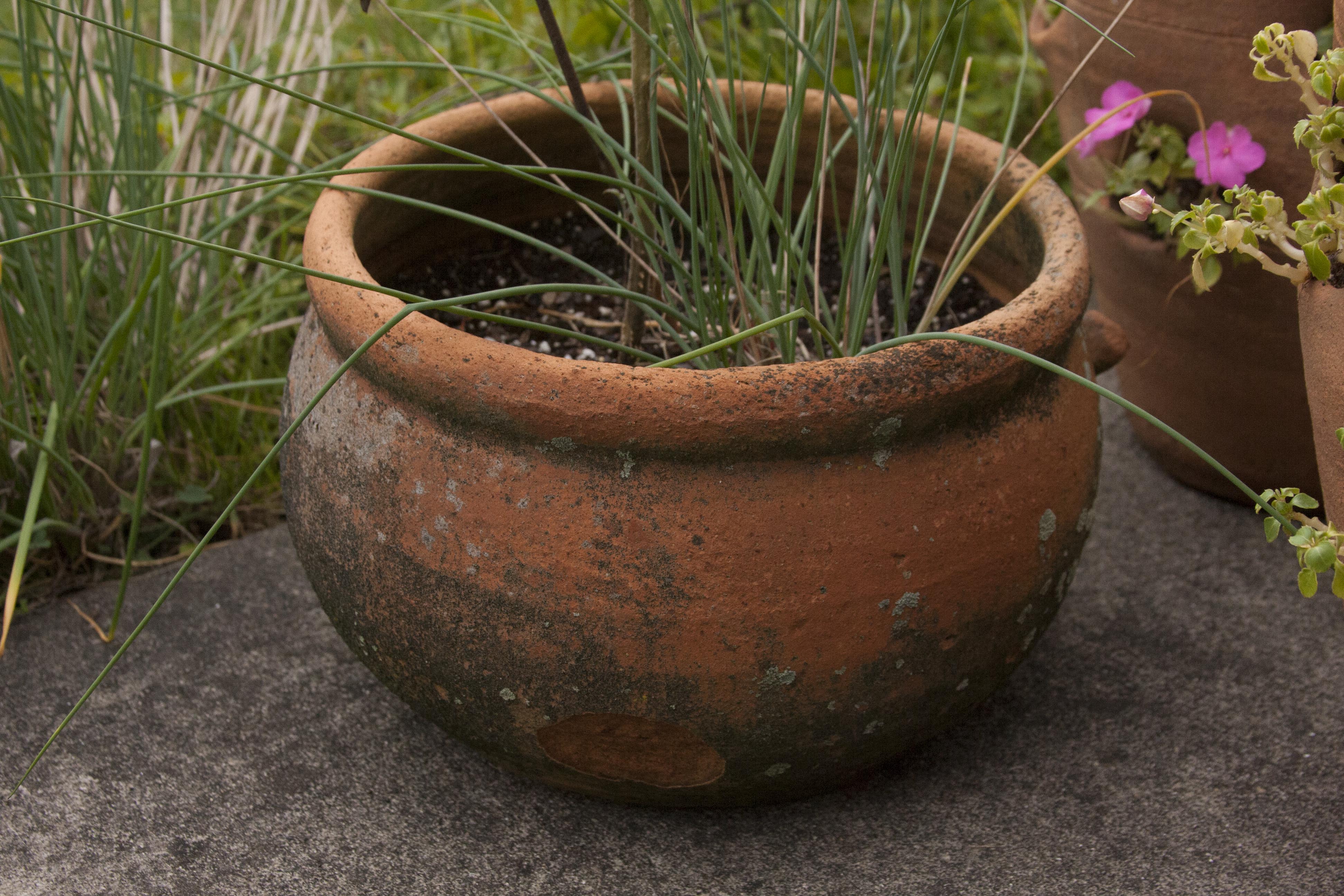 Outdoor Terracotta Patio Pots