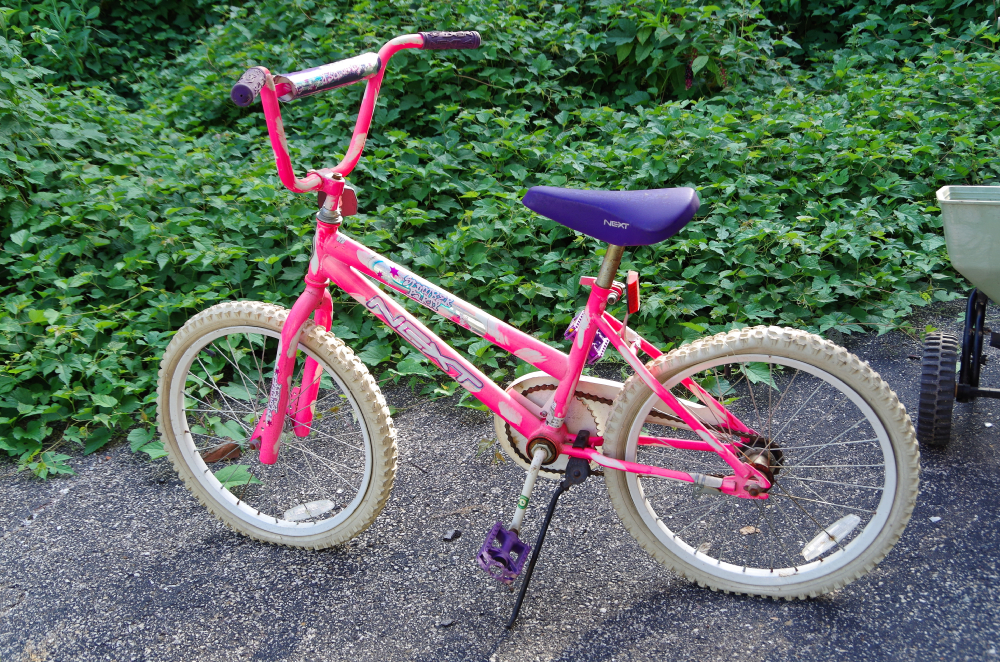 "Next" Brand Girl's Bicycle
