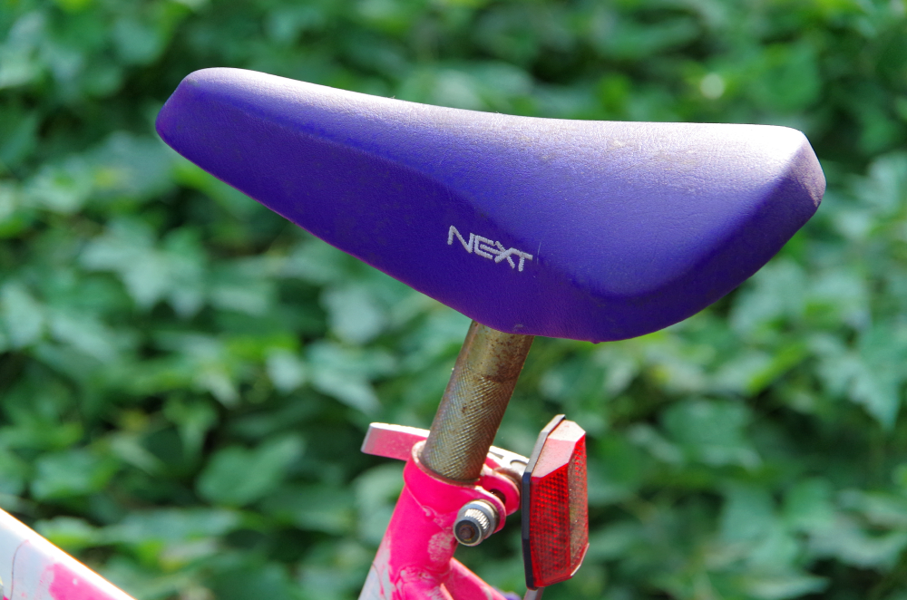 "Next" Brand Girl's Bicycle