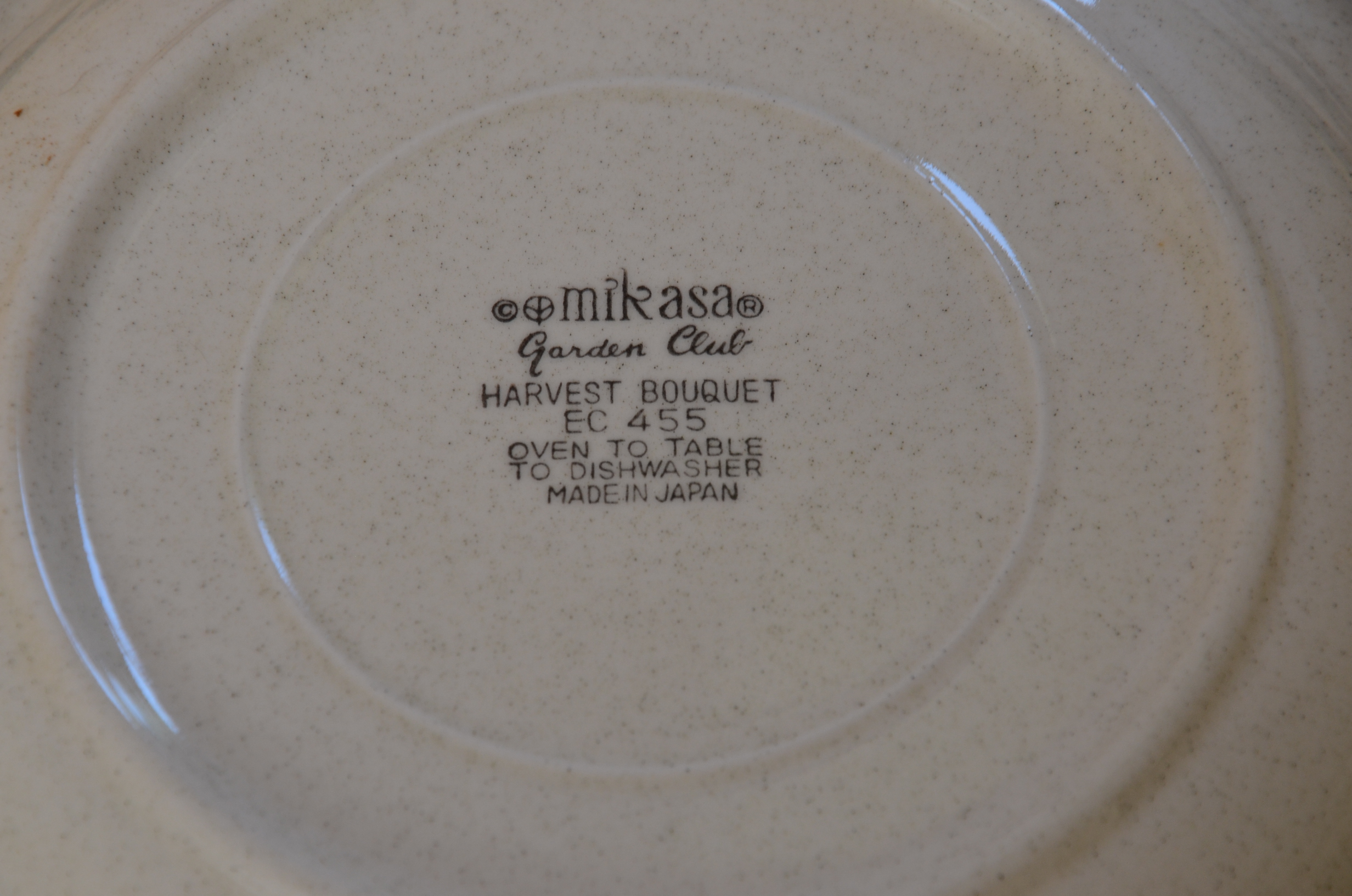 Mikasa Harvest Dining Set