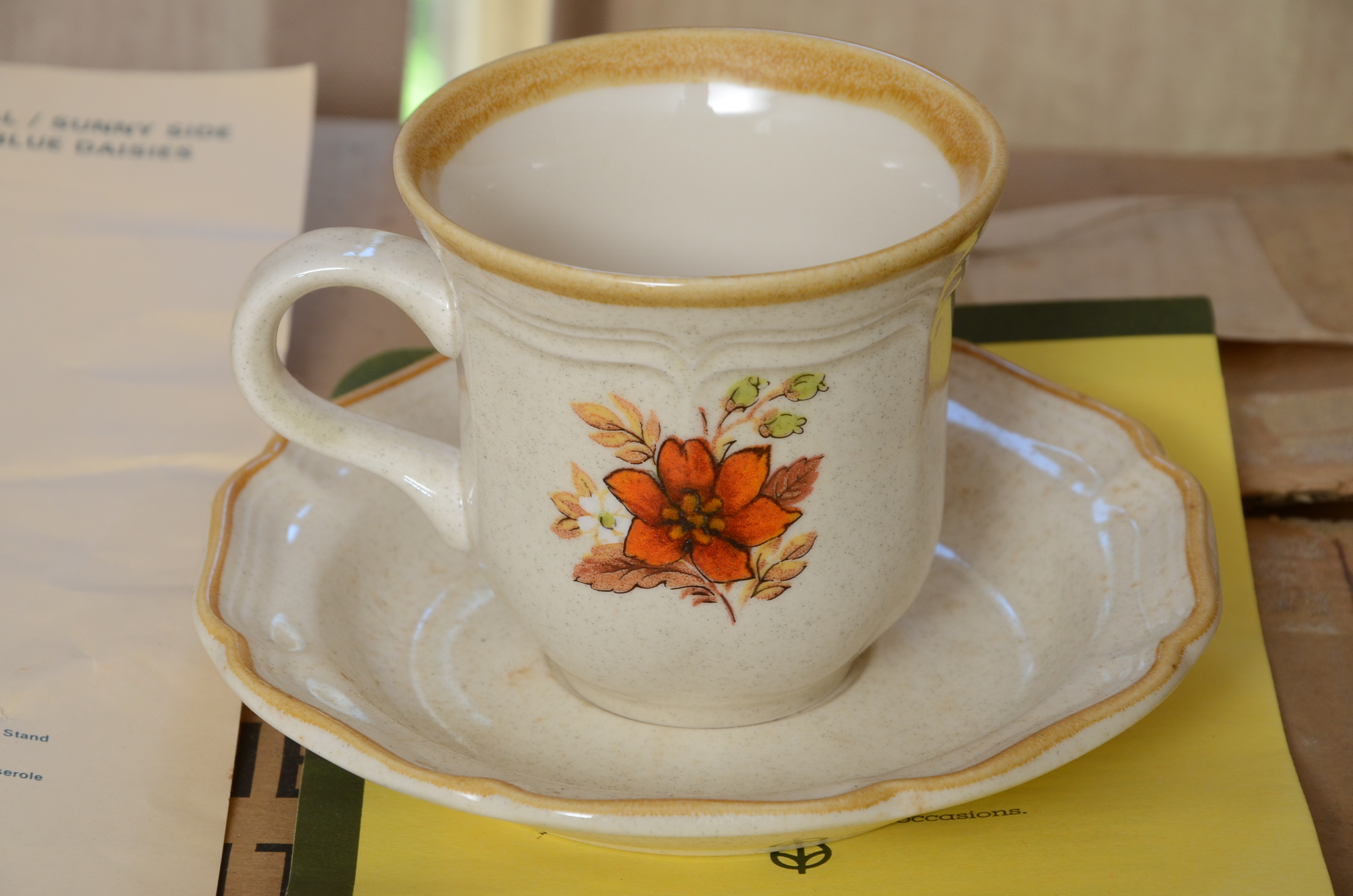 Mikasa Harvest Dining Set