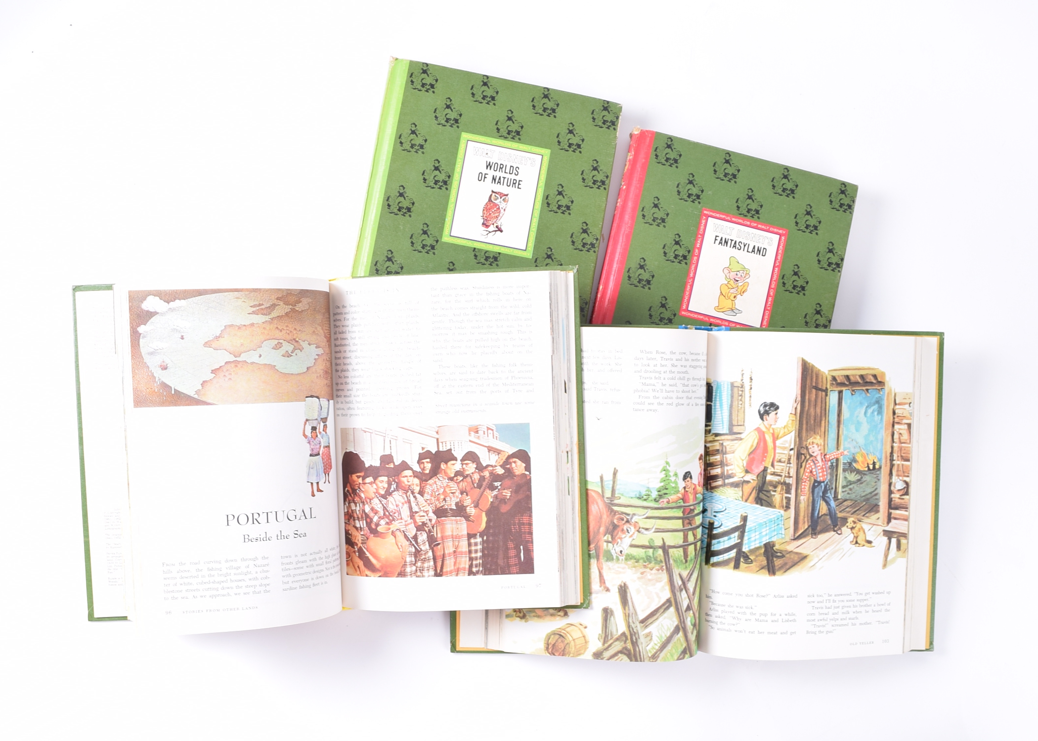 Walt Disney Book Set