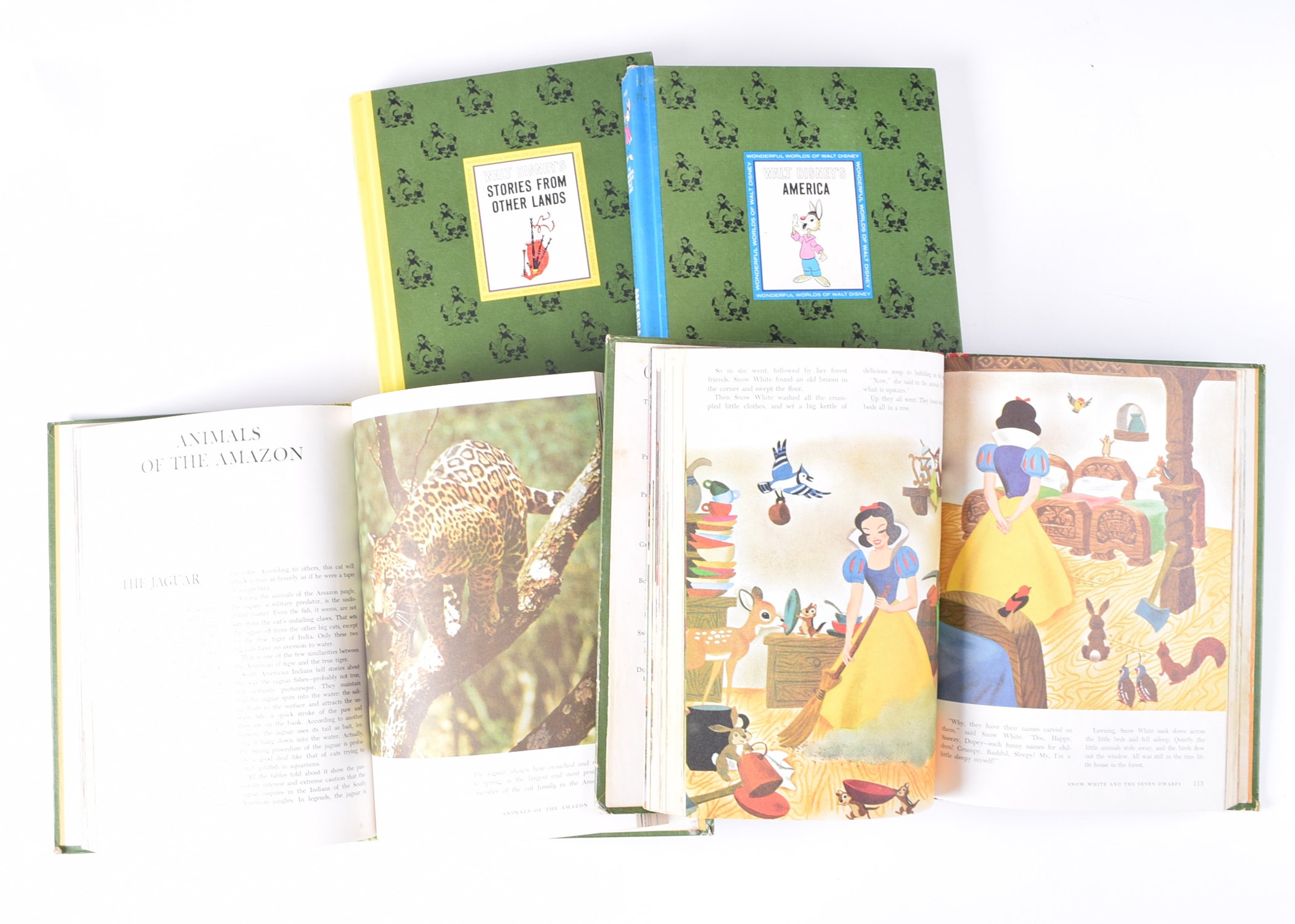 Walt Disney Book Set