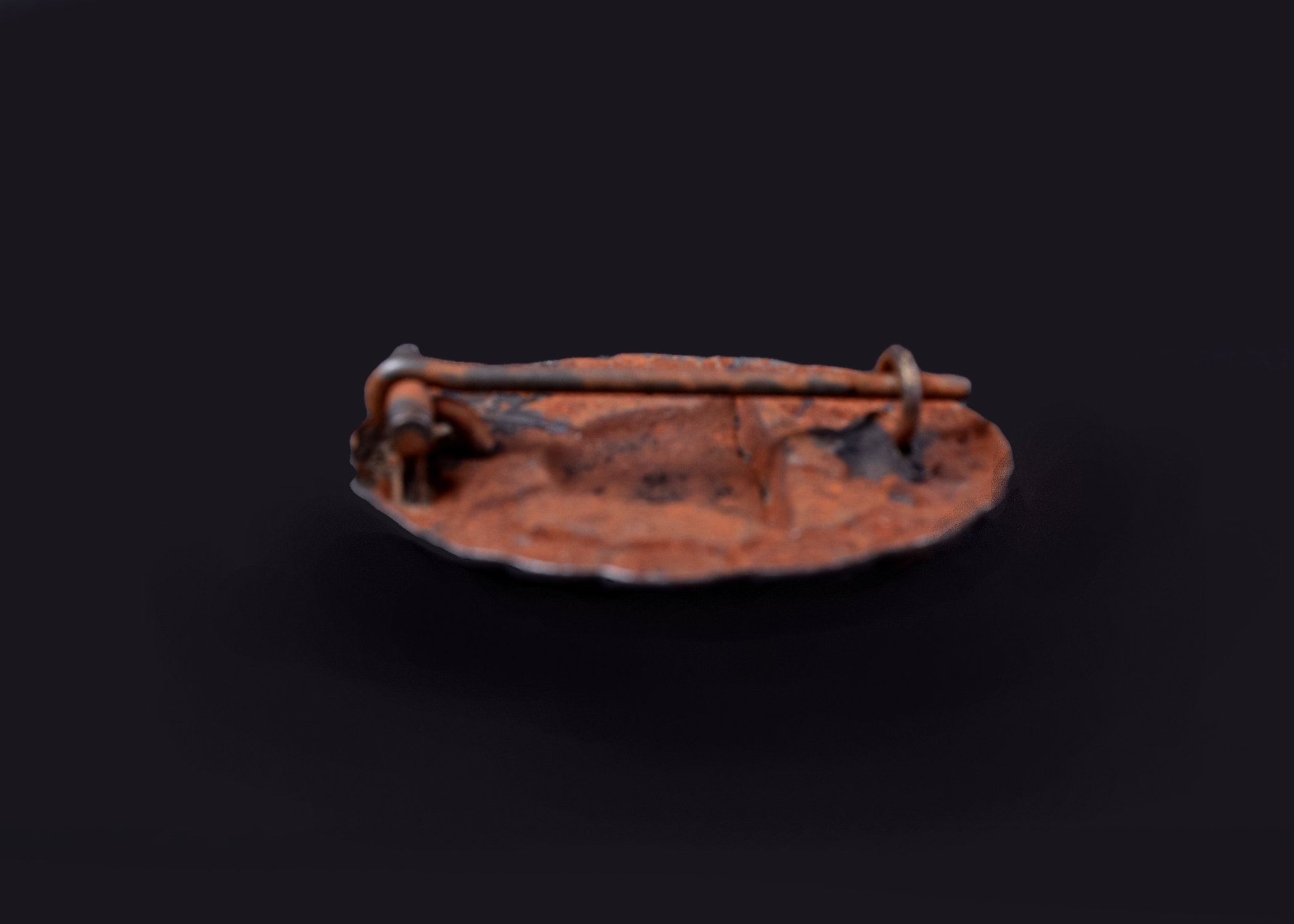 World War I German Dog Tag and Wound Badge