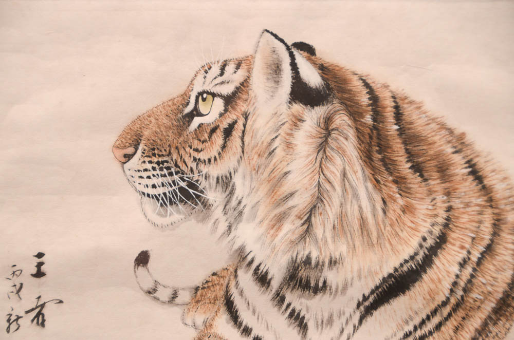 Pen and Ink Tiger Drawing