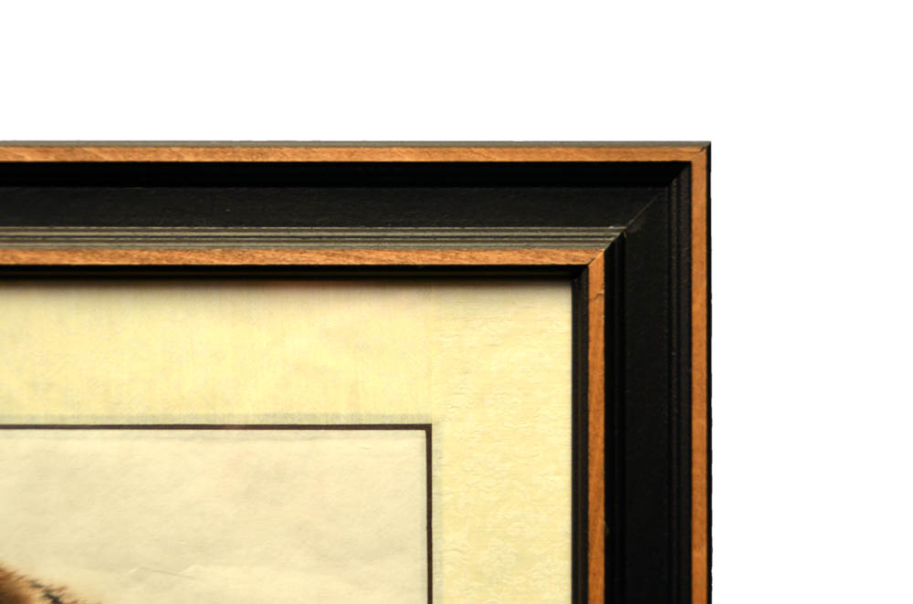 Pen and Ink Tiger Drawing