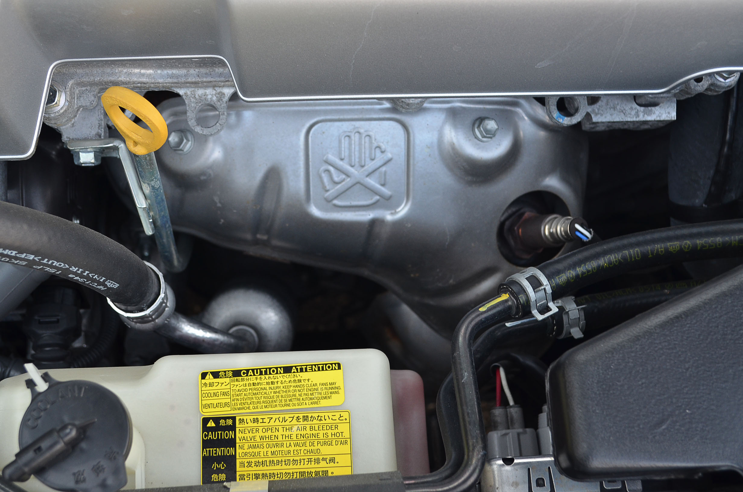 2008 Toyota Sienna Van