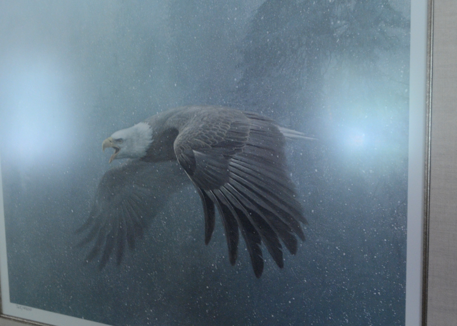 "Vigilance" Robert Bateman Signed Offset Lithograph