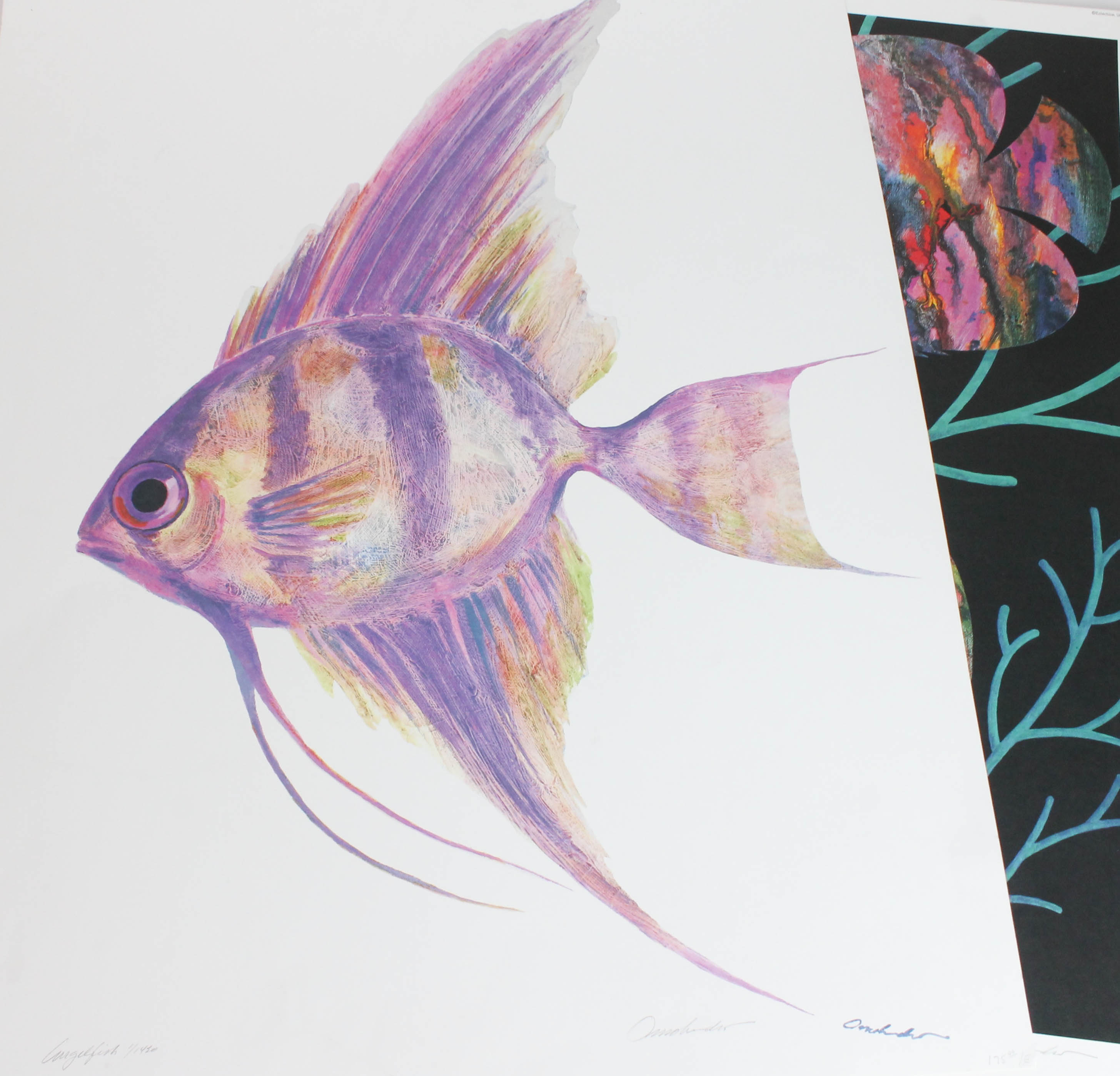 Set of James Omohundro Fish Prints