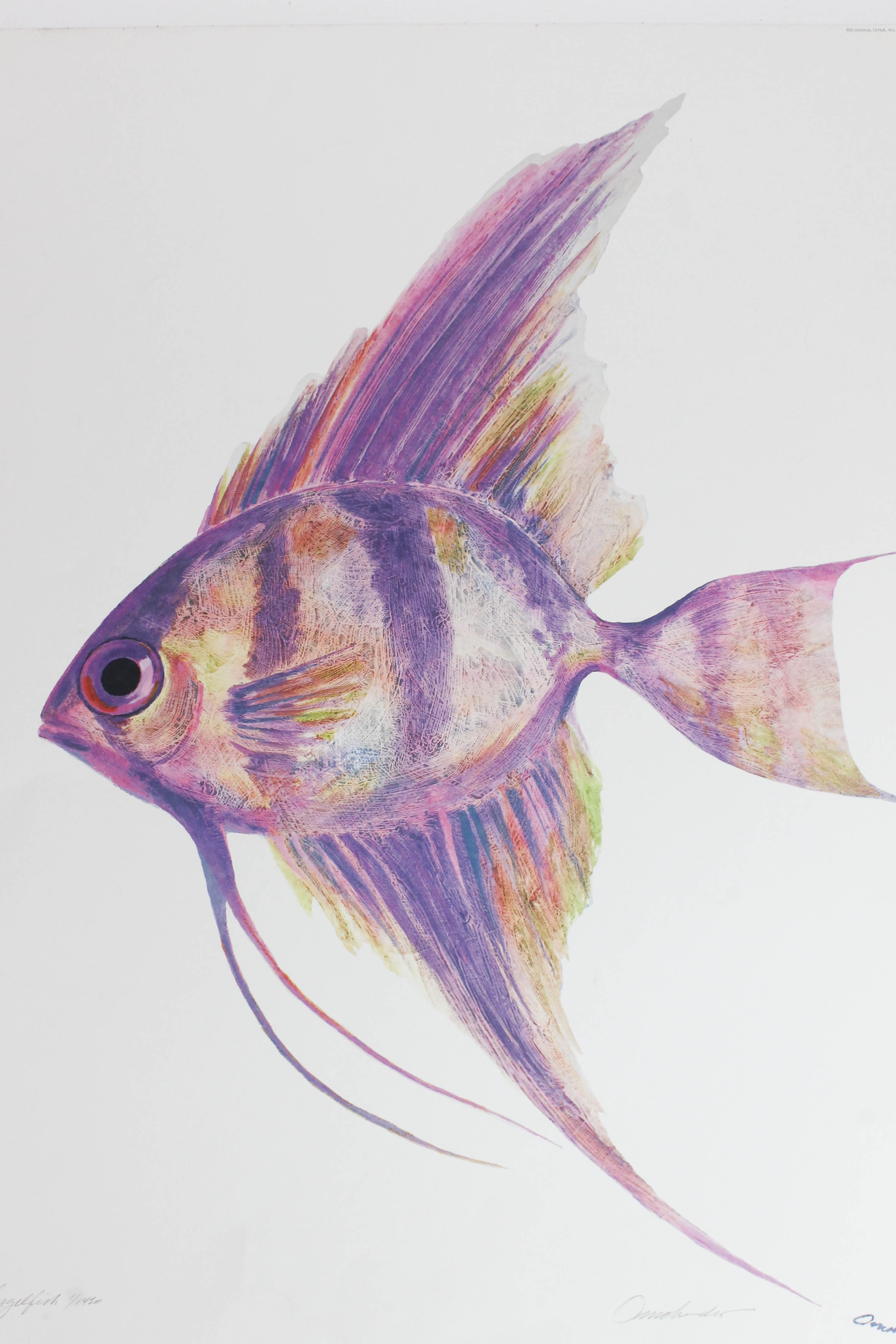 Set of James Omohundro Fish Prints