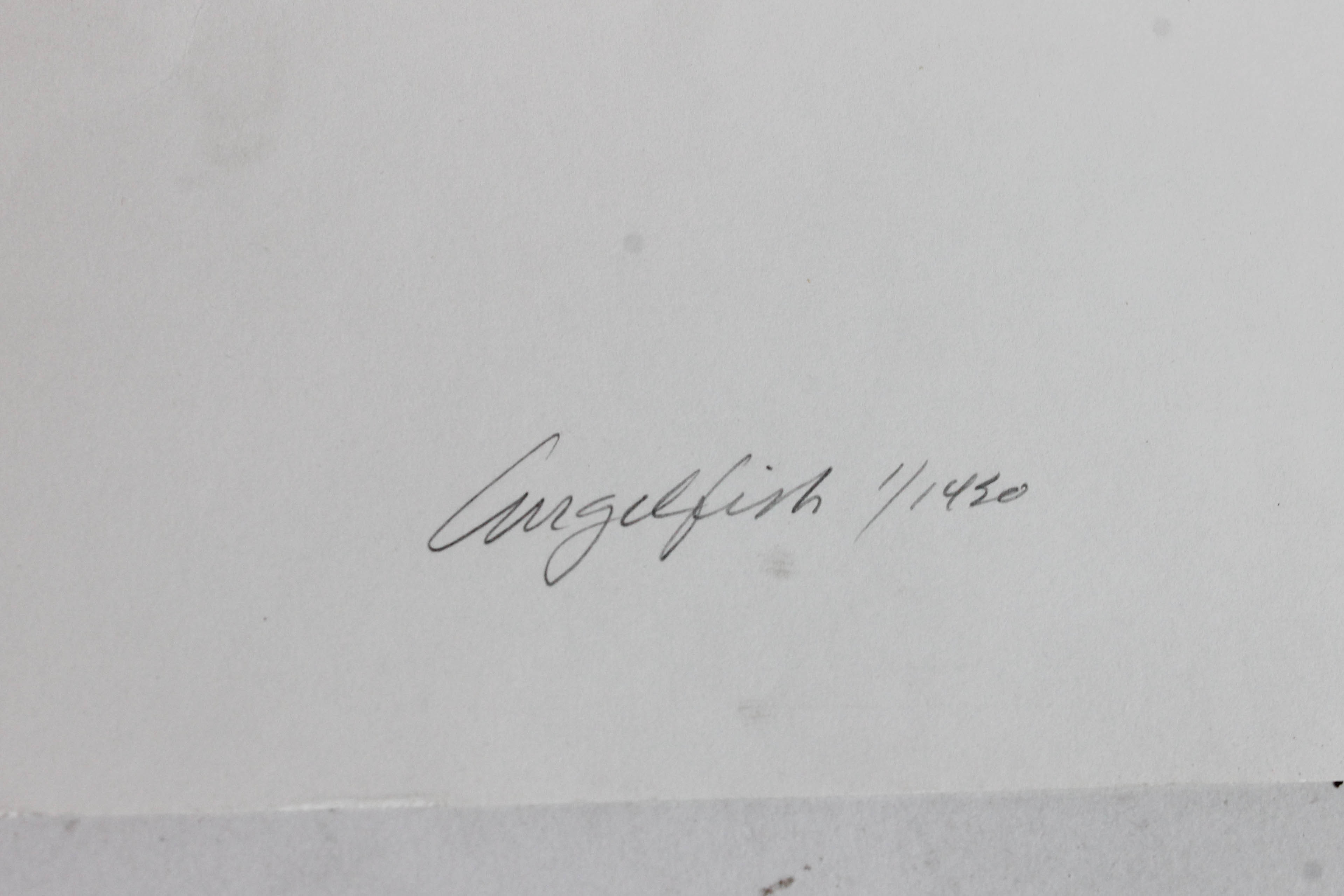 Set of James Omohundro Fish Prints