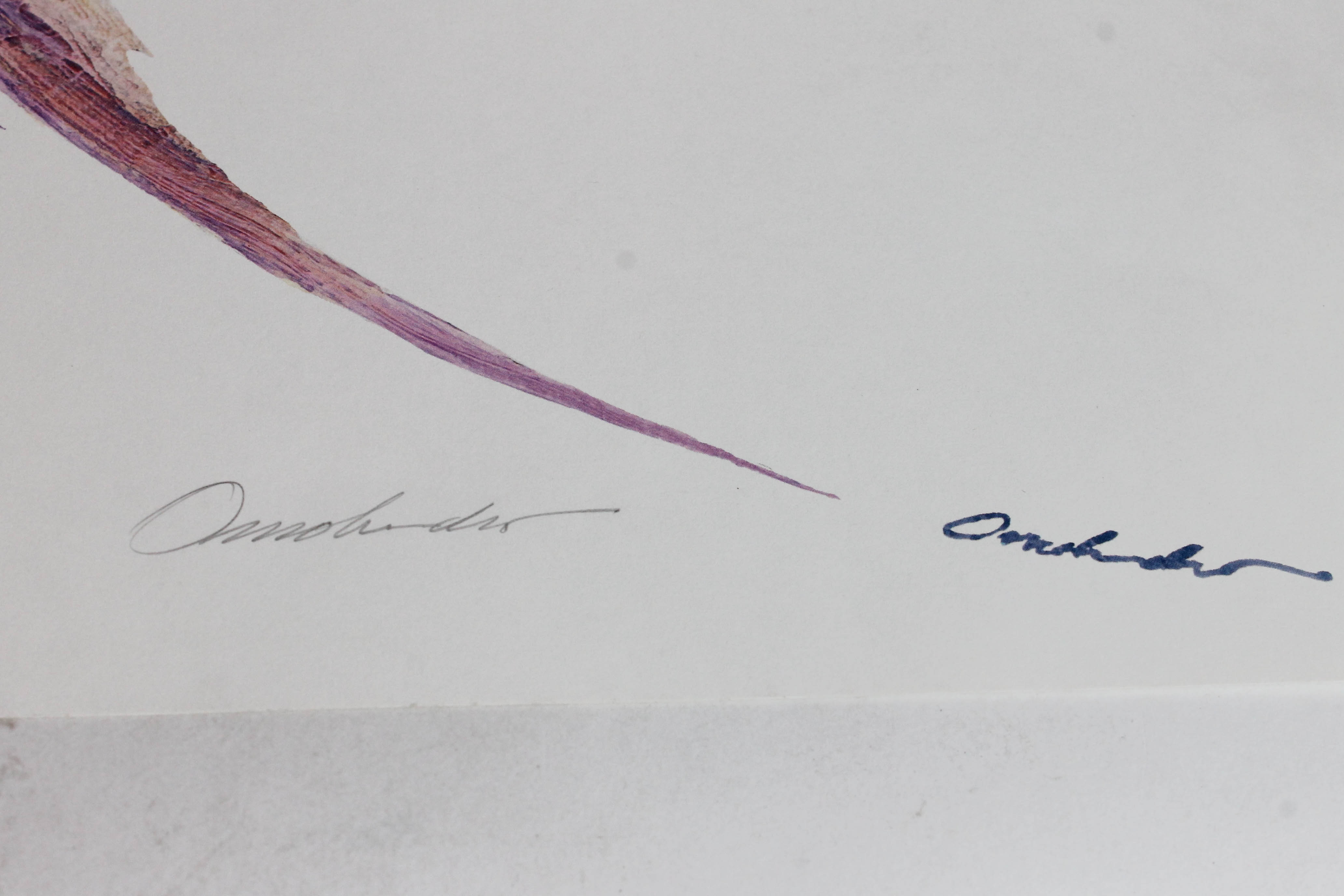 Set of James Omohundro Fish Prints