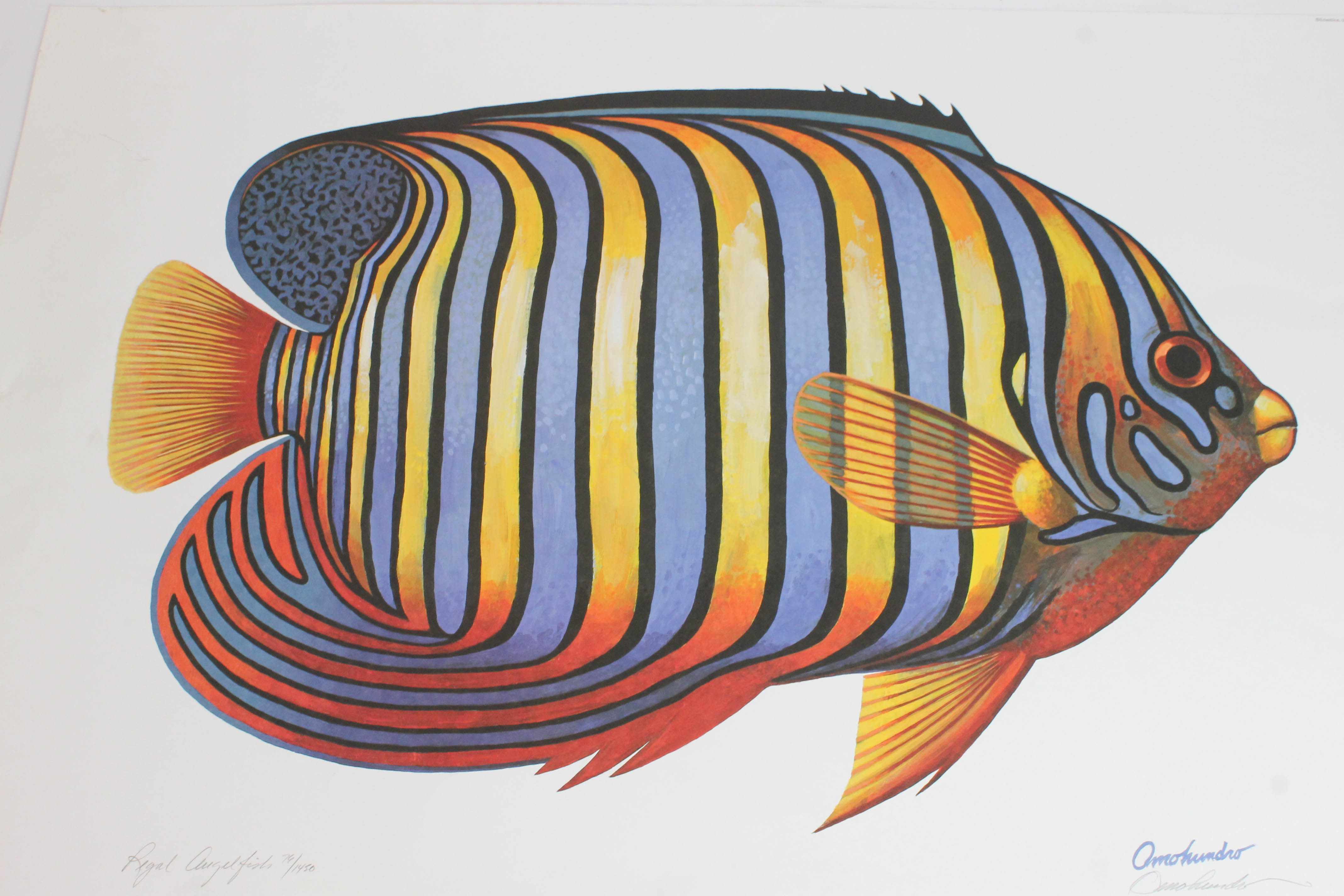 Set of James Omohundro Fish Prints