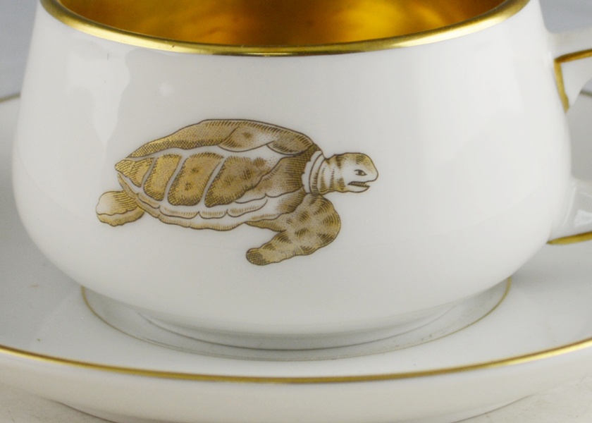 Thomas "LaCroix" Turtle Cup and Saucer