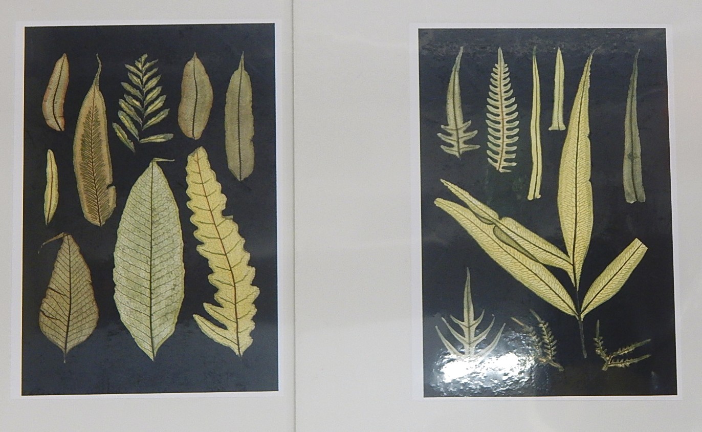 Reproduction Art Prints - Modern Primary Tones with Black