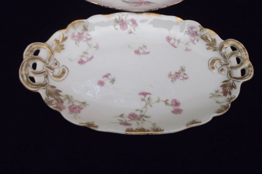 Twelve Pieces of Mostly Haviland Limoges China