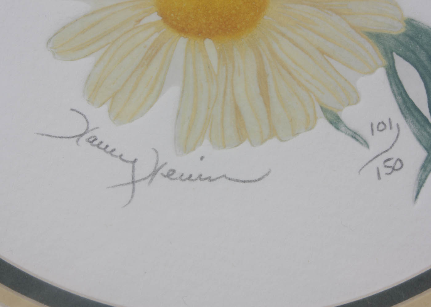 Nancy Nevins "Daisy" Aquatint Etching